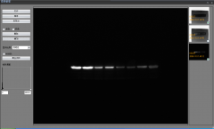 凝胶成像分析系统用途 凝胶成像分析系统功能