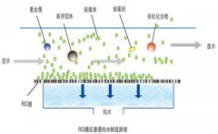 什么是纯水处理系统?纯水处理需要哪些系统?